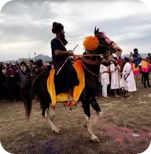 インドの馬術